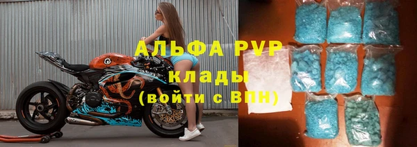 трава Аркадак