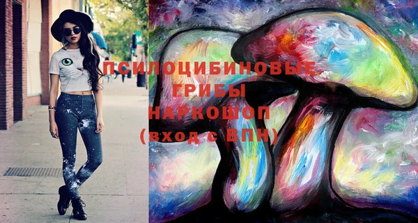 трава Аркадак