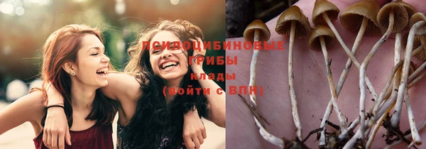 прущая мука Армянск
