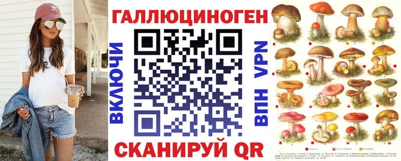 Псилоцибиновые грибы Cubensis наркота Сафоново